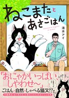 「ねこまたとあさごはん」（帯付き）