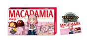 「マカダミアチョコレート」