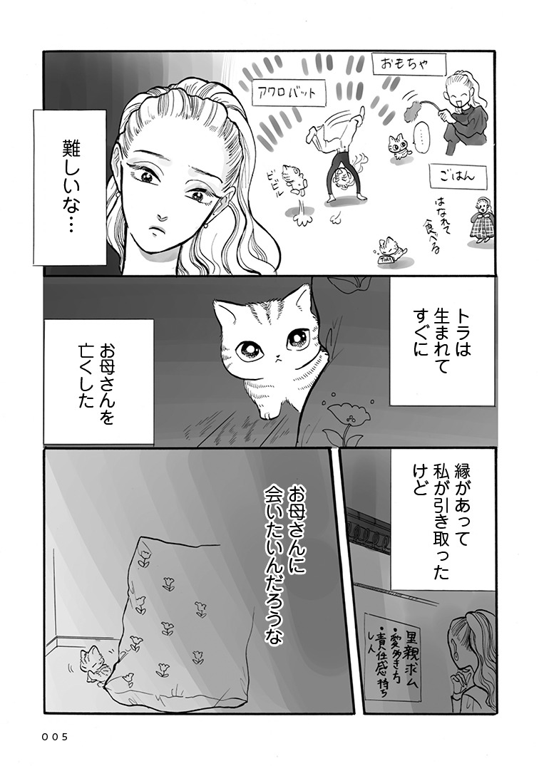 「トラと陽子」より。