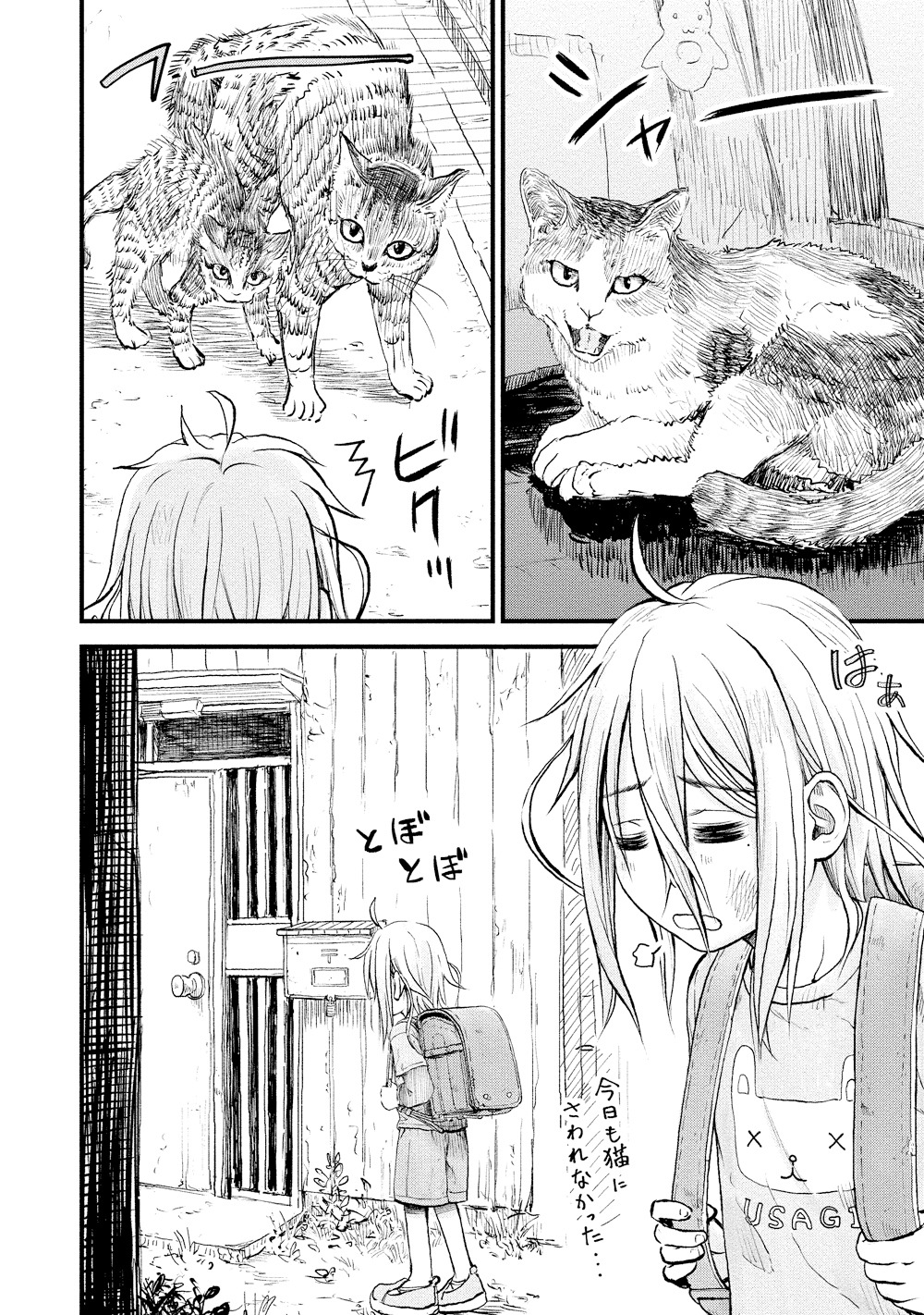 「今日もとなりへ猫詣で！」より。
