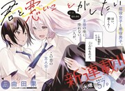 「君と悪いことがしたい」扉ページ