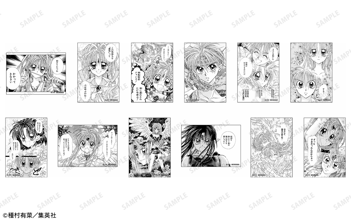 購入特典のブロマイド（全12種）。