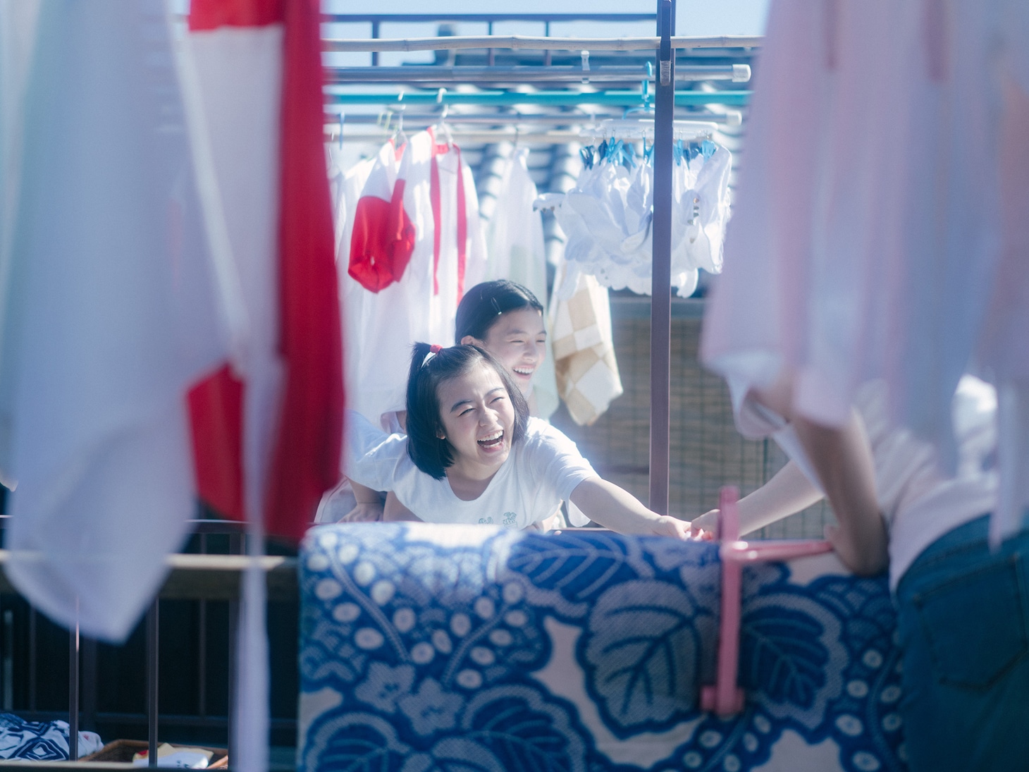 Netflixシリーズ「舞妓さんちのまかないさん」場面写真