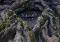 交通広告「ロボット兵車両」バージョン