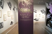 「『“奇”生物の世界』エリア」より。 (c)Y.T.90-94 (c)Y.T.95-97 (c)P98-22 (c)