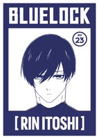 カードステッカ―