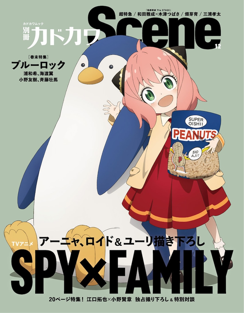 「別冊カドカワScene 12」