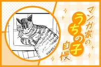 マンガ家“うちの子”自慢 第16回｜岩本ナオ