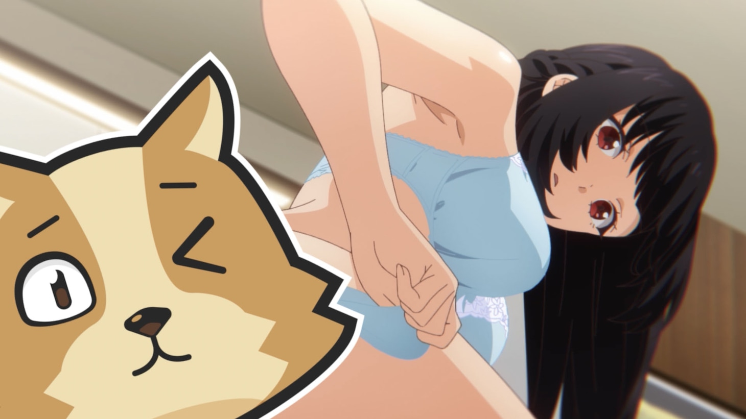 TVアニメ「犬になったら好きな人に拾われた。」第2弾PVより。