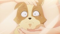 TVアニメ「犬になったら好きな人に拾われた。」第2弾PVより。