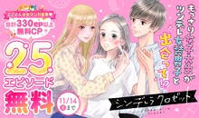 「シンデレラ クロゼット」ビジュアル (c)柳井わかな／集英社