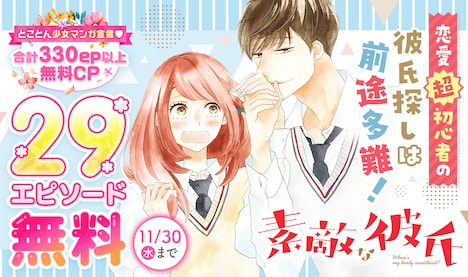 「素敵な彼氏」ビジュアル (c)河原和音／集英社