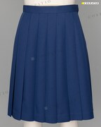 「友引高校女子冬制服」スカート