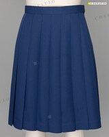 「友引高校女子冬制服」スカート