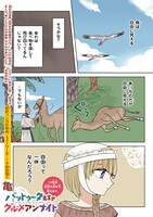 「バットゥータ先生のグルメアンナイト」より。