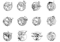 荒木飛呂彦による「アジア人物史」の描き下ろしカバーイラスト。 (c)HIROHIKO ARAKI & LUCKY LAND COMMUNICATIONS