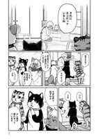 「ネコの掟」より。