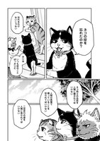 「ネコの掟」より。