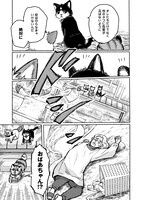 「ネコの掟」より。