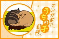 マンガ家“うちの子”自慢 第18回｜羅川真里茂