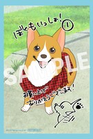 イラストカードのサンプル。