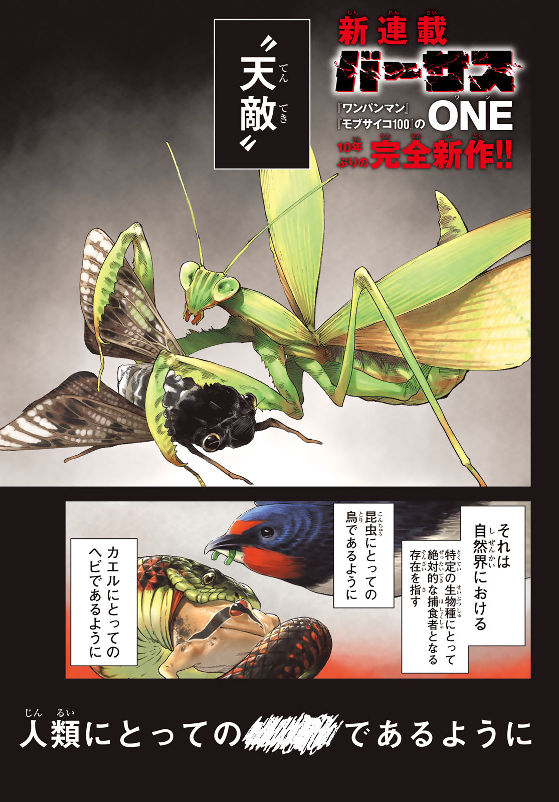 「バーサス」より。