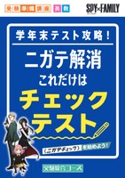 テスト対策教材「ニガテ解消これだけはチェックテスト」