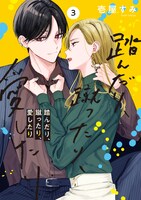「踏んだり、蹴ったり、愛したり」3巻