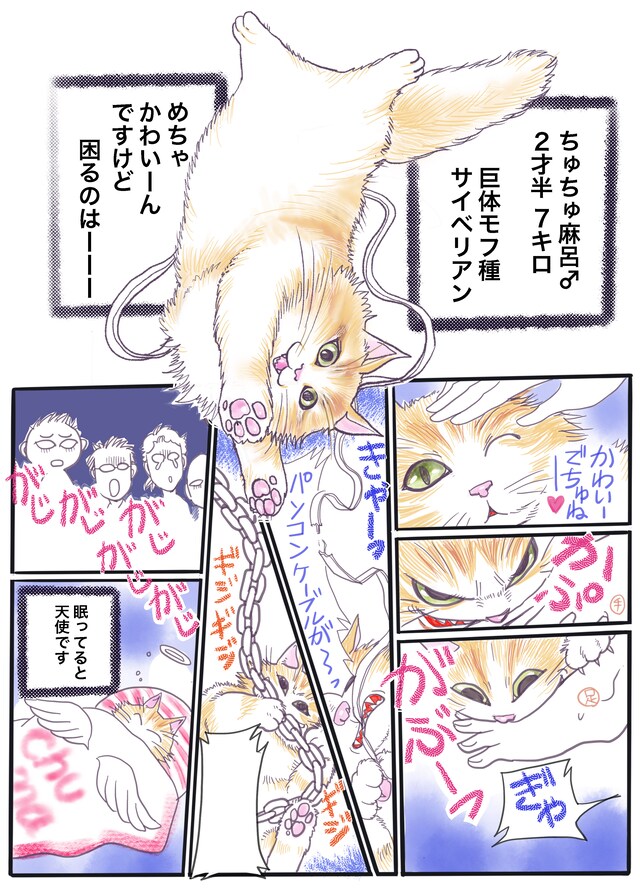 さいとうちほの描き下ろしマンガ。