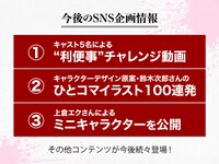 SNS企画の内容。
