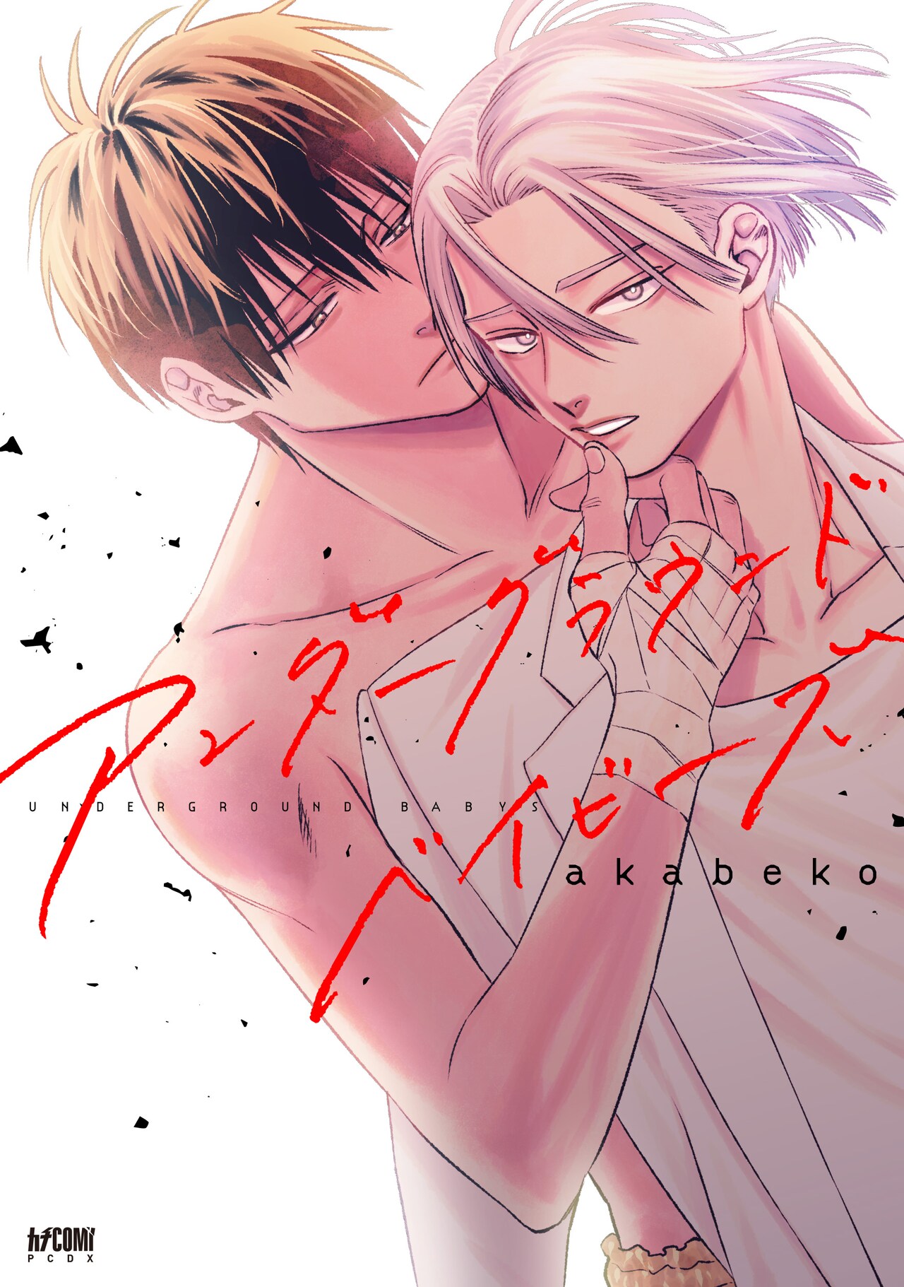 生きては出られない地下闘技場でヤクザと元ボクサーが出会うBL、akabekoの新刊