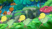 「ポケットモンスター 遥かなる青い空」より。