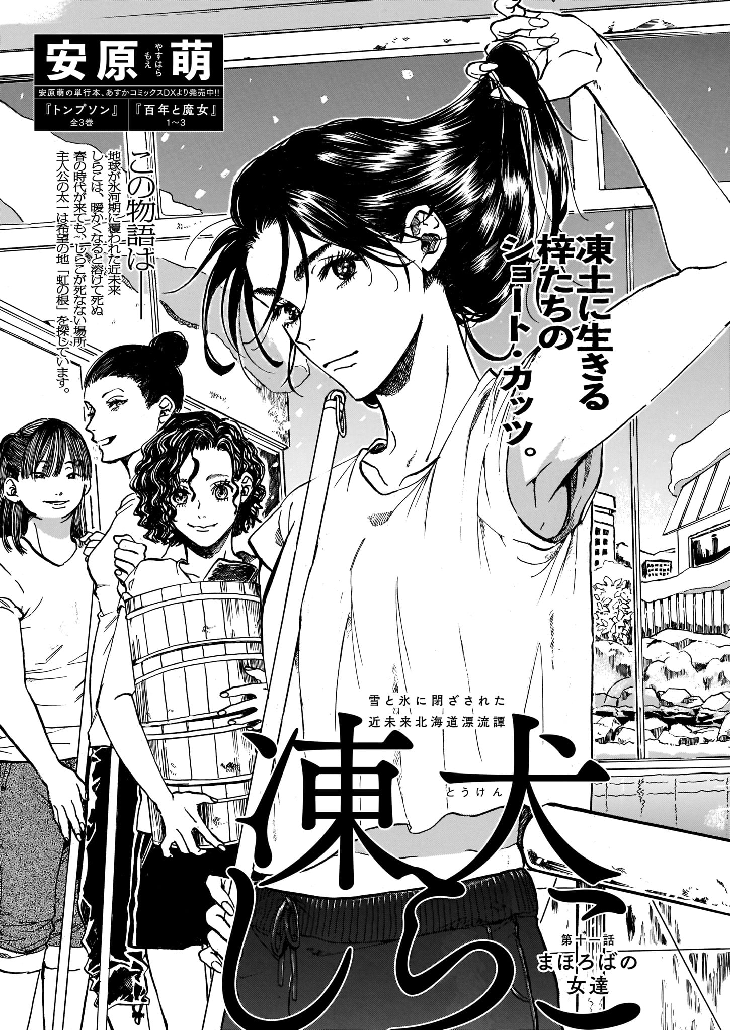 青騎士第11A号掲載、安原萌「凍犬しらこ」。