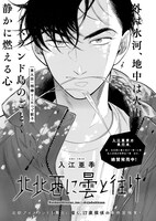 青騎士第11B号掲載、入江亜季「北北西に曇と往け」。