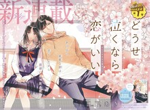 「どうせ泣くなら恋がいい」扉ページ (c)日下あき／集英社