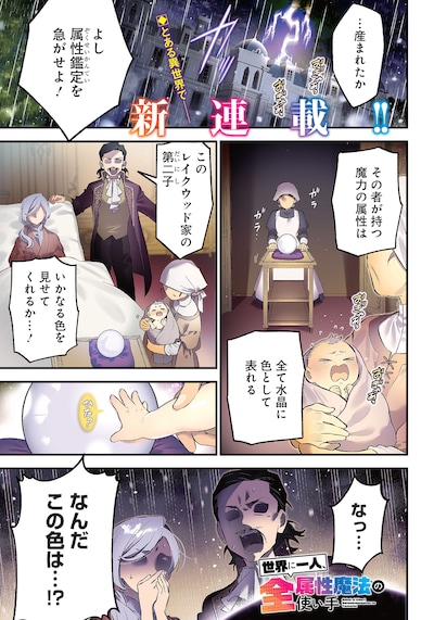 「世界に一人、全属性魔法の使い手」第1話より。