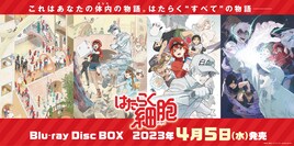 アニメ「はたらく細胞」BD-BOX2023年4月に発売、花澤香菜＆前野智昭もコメント