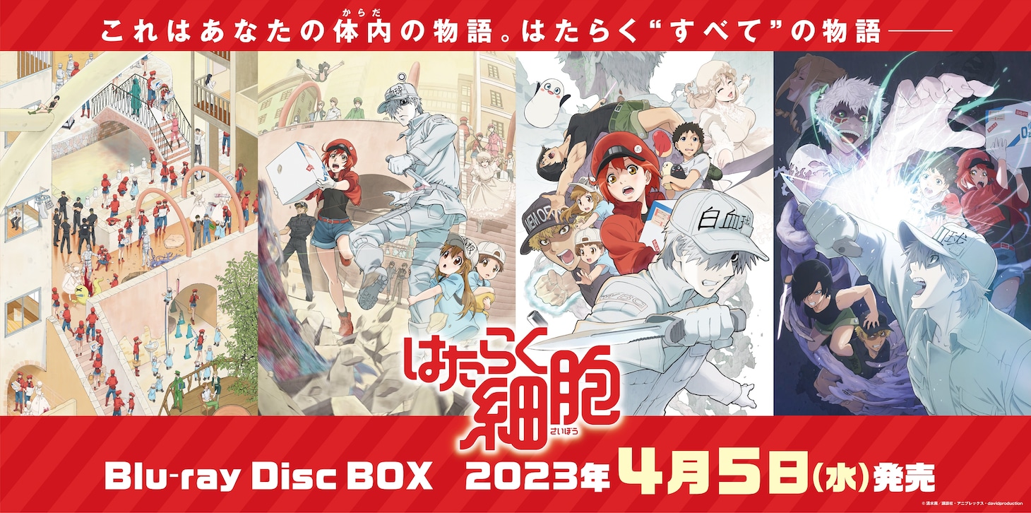 アニメ「はたらく細胞」のBlu-ray Disc BOX発売告知画像。