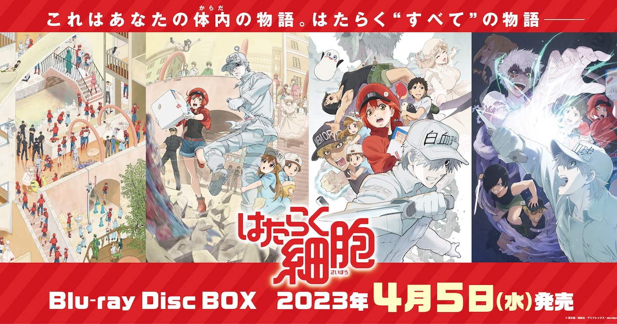 アニメ「はたらく細胞」BD-BOX2023年4月に発売、花澤香菜＆前野智昭も 