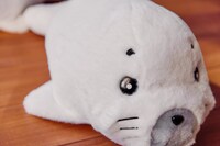 ゴマちゃんのぬいぐるみ。