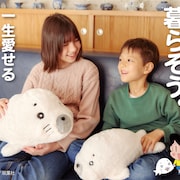 「少年アシベ」ゴマちゃんのふかふか新ぬいぐるみ誕生、作者公認の実物大とハーフサイズ