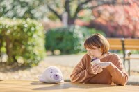 ゴマちゃんのぬいぐるみの使用イメージ。