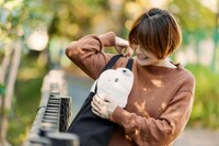 ゴマちゃんのぬいぐるみの使用イメージ。