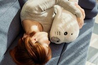 ゴマちゃんのぬいぐるみの使用イメージ。