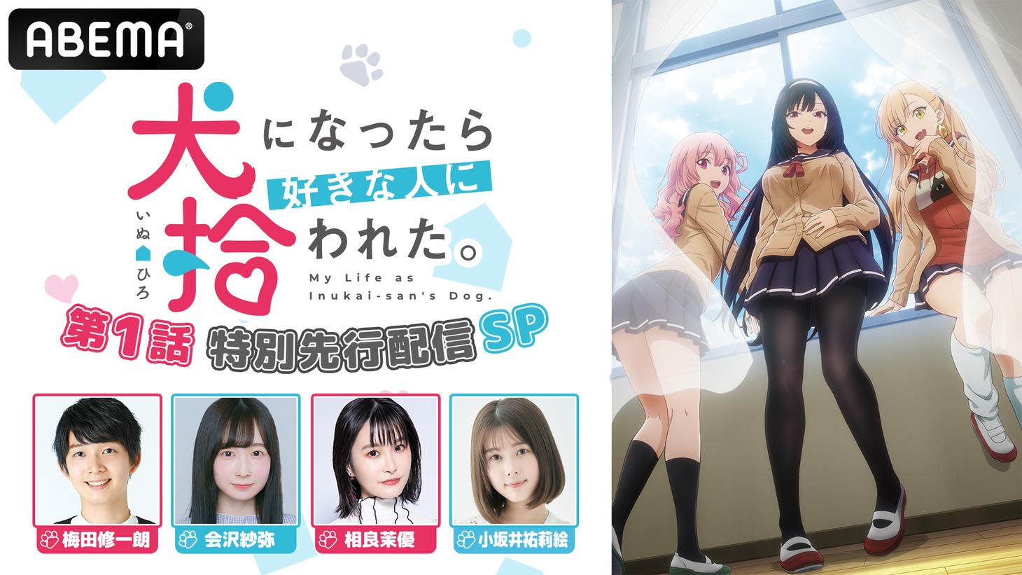 「TV アニメ『犬になったら好きな人に拾われた。』第1話特別先行配信 SP」の告知画像。