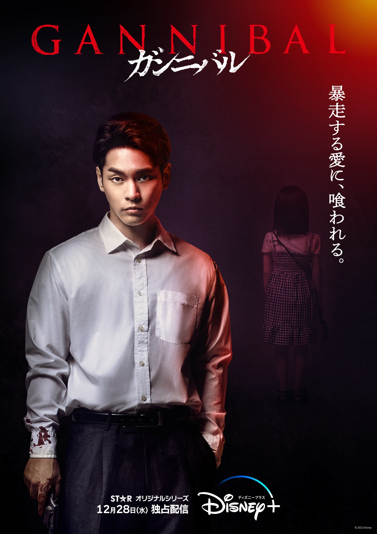 【大型配送タイプ】柳楽優弥さん掲載4ページ（ポスターサイズ）#8575 柳楽優弥演じる阿川大悟のキャラクタービジュアル。 - 「ガンニバル