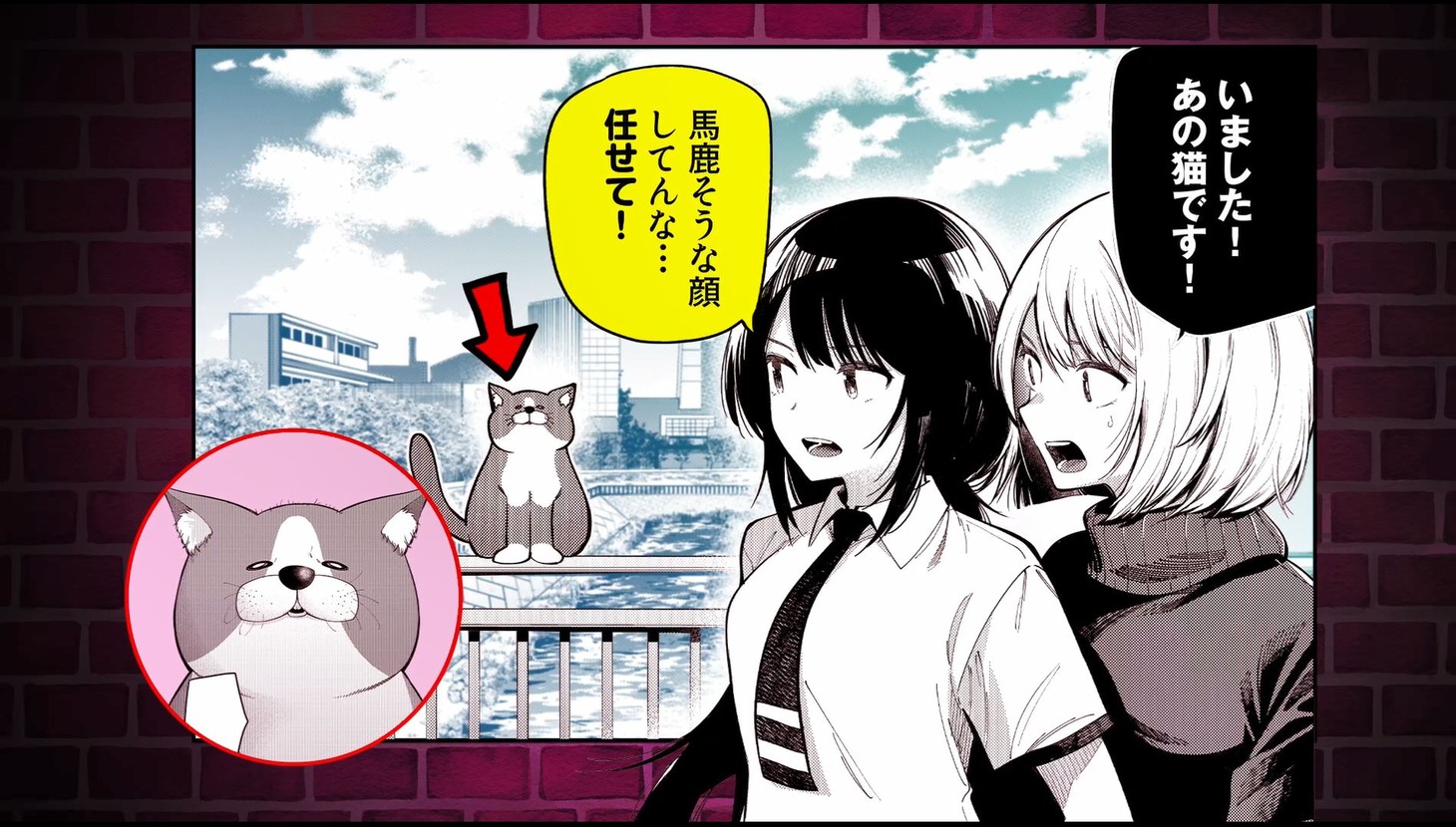 15秒CM「緊迫!! 猫失踪事件」より。