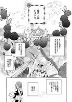 「紅茶の魔女の優雅なる宮廷生活 チートをひた隠す最弱魔導師の窓際ライフ」より。