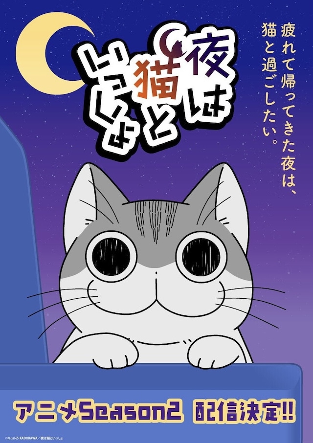 アニメ「夜は猫といっしょ」Season2のメインビジュアル。 (c)キュルZ・KADOKAWA／夜は猫といっしょ