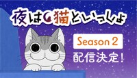 アニメ「夜は猫といっしょ」Season2配信決定の告知ビジュアル。  (c)キュルZ・KADOKAWA／夜は猫といっしょ